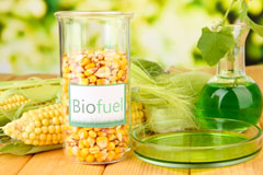 Monmouthshire biofuel availability