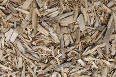 biomass boilers Monmouthshire